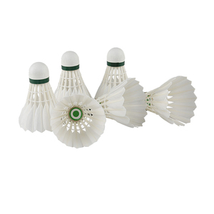 Cầu Lông Có Thể Gập Lại Bán Sỉ Cầu Lông Cầu Lông Rsl - Product Image 5