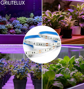Tira de Luz LED para Cultivo de Plantas de 16.4 Pies, Espectro Dual Rojo y Azul 5:1, IP20/IP65, Lámpara Flexible para Invernadero - Product Image 6
