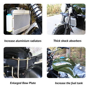 Tricycle Robuste Aboboyaa de Ferme 2000 kg avec Moteur Tricycle <span class=keywords><strong>Moto</strong></span> Refroidi par Eau 250CC 300cc - Product Image 4