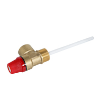Válvula de Alivio de Presión y Temperatura de Latón de Alta Calidad de 1/2 Pulgada para Calentador de Agua, con 1 Año de Garantía, Marca OEM