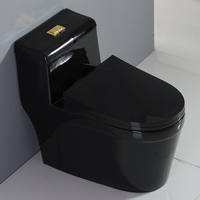 Fourniture de toilettes à siphon en une pièce au design élégant Toilettes allongées en filigrane noir avec siège et placard à eau à vendre