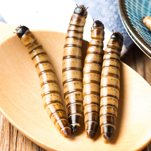 Sterilizzazione fisica e conservazione Eco Fresh Supperworm molitor muffa per geco cibo Torosfish pasto - Product Image 2