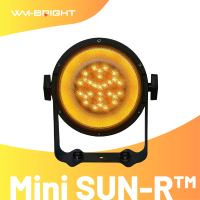 Projecteur LED Mini Rétro IP65 RGBWW DMX512 Flexible Connectable pour Scène, Éclairage Résidentiel Longue Durée, Lampe en Aluminium pour DJ, Discothèque, Bar