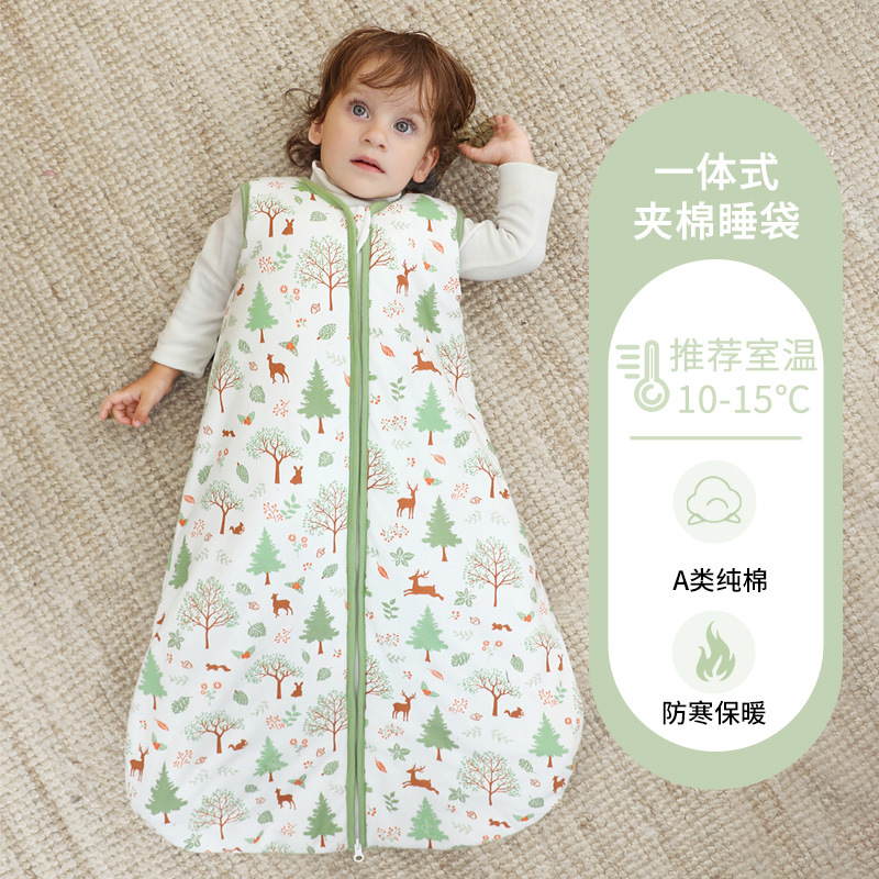 Foresta verde-ispessita