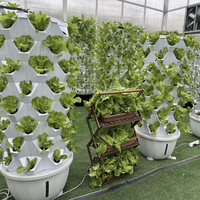 Système de culture hydroponique vertical Home Farm Tower Garden, tour hydroponique à 48 pots, système hydroponique vertical pour serre