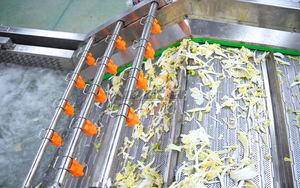 <span class=keywords><strong>Machine</strong></span> compacte de découpe et de lavage de légumes pour laitue, chou, oignon, courgette (hachage, émincissement, dés) avec fonction de nettoyage - Product Image 5