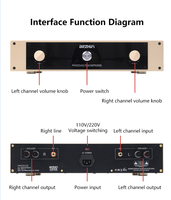 BRZHIFI Amplificateur haute puissance FM300AS Audiophile Hi-Fi classe A/B Post Stage Audio Direct-Cut Swiss FM Circuit Amplifier System