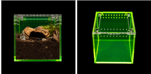 Moderner 3x3x3 Zoll Klarer Acryl Kleintier-Gehege Fluoreszierender Magnetischer Sprungspinne-Eidechsen-Würfel für Kleintiere - Product Image 5