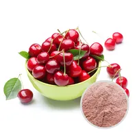 Succo di ciliegia cinese in polvere estratto di ciliegia in polvere vitamina c abbondante polvere di frutta di ciliegia liofilizzata