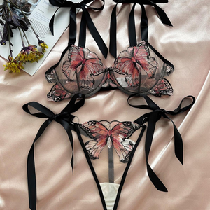Conjunto de lencería bordado con mariposas para mujer, bragas de bikini, ropa interior sexy, transpirable, nailon, spandex, 2 piezas - Product Image 2