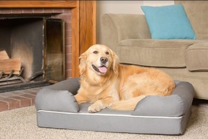 High Quality Pet <strong>Bed</strong> Pet Products Memory Foam <strong>Dog</strong> <strong>Bed</strong> Luxury <strong>Dog</strong> <strong>Bed</strong> <strong>Sofa</strong> with Waterproof Liner - Product Image 3