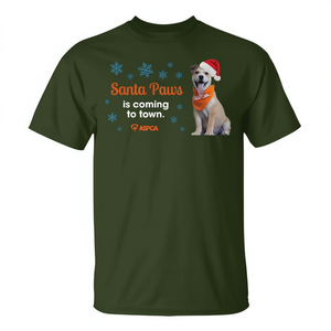 T-shirt per cani Santa Paws, abbigliamento natalizio per animali domestici ASPCA - Product Image 2
