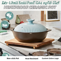 Casserole en céramique moderne résistante aux hautes températures, pot en argile anti-fissuration et anti-cuisson à sec