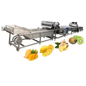 Lavadora de vegetais de ozônio ultrassônica, alta capacidade de uso na fazenda, máquina de lavar frutas com correia transportadora automática