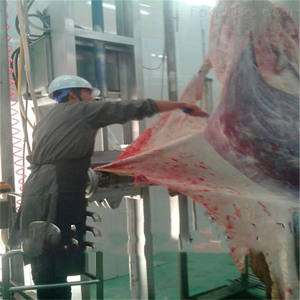 Machine à peler le cuir pour ligne d'abattage de bétail – Composants essentiels : Moteur, Pompe, Boîte de vitesses – Haute Efficacité, Automatique, Acier Inoxydable - Product Image 5