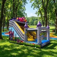 Toboggan gonflable commercial en PVC et château gonflable sec, certification CE, capacité 500 personnes, garantie 3 ans, pour fêtes et événements professionnels