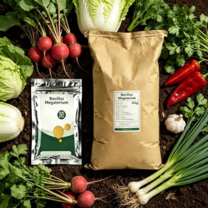 YIDA Biotech - Biofertilizante de Ácido Húmico de Bacillus Megaterium, Disolución P, Mejora la Estructura del Suelo, Mejora la Fotosíntesis, Alivia la Sequía - Product Image 1