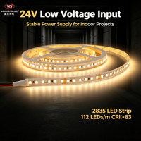 Bande lumineuse LED 2835 24V 112 LED/m CRI>83 160lm/W Haute luminosité Bande LED flexible pour la décoration de projets intérieurs