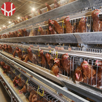 Jaula Avanzada YiFeng de Nueva Generación para Gallinas Ponedoras, de Alambre de Acero de Bajo Carbono, Modelo YF-A120/YF-A160, Fabricada en Henan, China