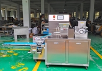 Hoch effiziente Siopao Bao Brötchen maschine Automatische Suppen knödel (Momo) Maker Getreide herstellungs maschine für gedämpftes Brötchen