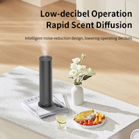 Diffuseur d'arômes métallique sans eau OEM, rechargeable USB, pulvérisateur de parfum automatique, usage domestique et commercial, style INS, parfum de qualité supérieure