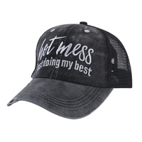 I capelli del fienile non si preoccupano del cappello da Baseball delle donne di tutti i giorni con i capelli cattivi della giornata di mamma delle donne ricamata della coda di cavallo regolabile