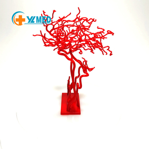 Модель кровеносных сосудов головного мозга человека, красная, 3D, анатомическая, модель мозговой артерии, сонной артерии для медицинского обучения, с CE и ISO - Product Image 1