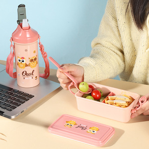 B260 hibou dessin animé boîte à lunch étanche Bento ensemble de rangement des aliments avec fourchette et cuillère boîte à lunch en plastique sans BPA - Product Image 4