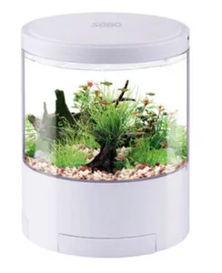 Piccolo acquario acquario soggiorno paesaggistica per la casa super white round fish tank piccola ciotola ecologica per pesci rossi da tavolo