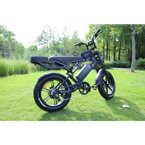 Zerogo 2025 Dropshipping V20 Pro Bicicleta Eléctrica de 250w con Cuadro de Acero, Bicicleta de Montaña con Llantas Gruesas de 20 Pulgadas, V20 Pro - Product Image 3