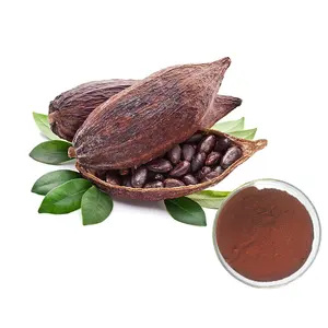 Fabriek Leverancier Cacao Zaad Extract Poeder