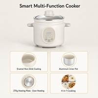 Marmite Électrique Intelligente Multifonctionnelle 2,3L 500W pour la Maison et le Dortoir, Cuisson Rapide en un Clic, Antiadhésive de Qualité Alimentaire, pour Riz et Ragoûts