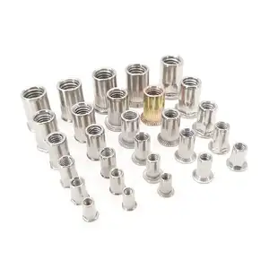 Wholesale Hight Quality Stainless Steel 304 316 Knurled Round Flat Head Rivet Blind Rivet Nut