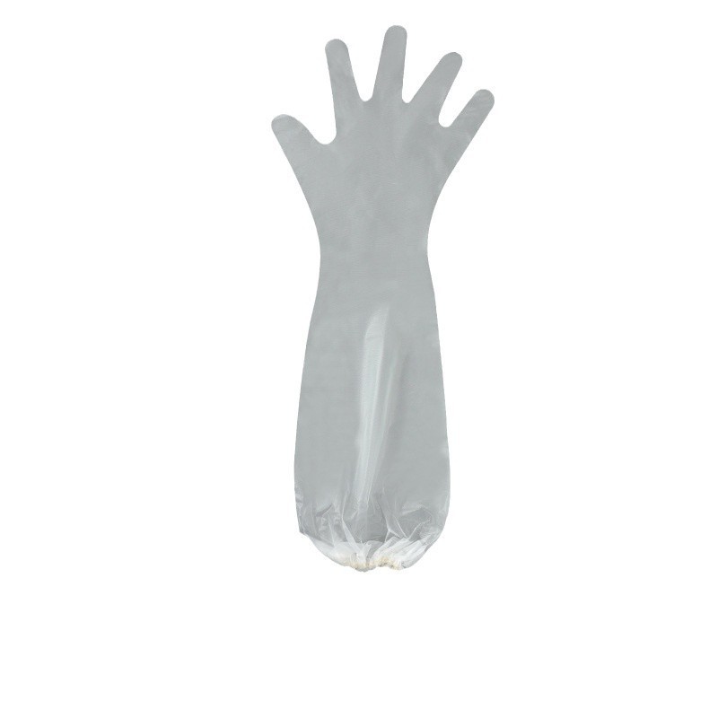 Gants à manches longues (CPE) (paquet de 10)
