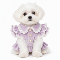 Robe personnalisée pour chien en velours doux avec col en dentelle, boutons perlés, garniture dorée, style péplum, vêtements pour animaux de compagnie, tenue à volants pour chiots et chats, vente en gros OEM