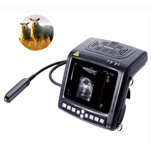 Échographe vétérinaire portatif pour poignet KAIXIN KX5200V - Product Image 4
