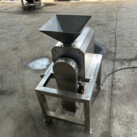 Industriële fruit- en groentepit-, meng- en pulpmachine voor kersen, mango's, longans, pruimen en pruimen, roestvrij staal, 380V, 1500W, 1 jaar garantie