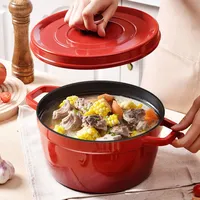 Casserole en fonte de 9,5 pouces avec couvercle en émail antiadhésif, pot à soupe, batterie de cuisine, four hollandais pour cuisinière à gaz, cuisinière à induction