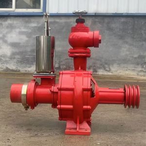 Bomba de Riego de Gran Caudal y Alta Presión de 4 Pulgadas con Motor Diésel de 5.5kw para Riego Agrícola - Product Image 5