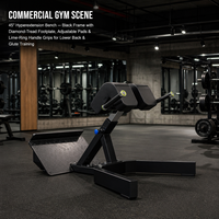 Chaise romaine en métal durable pour la plaque d'entraînement de force chargée 45 banc de sport d'exercice de dos d'extension pour l'usage à la maison de gymnase