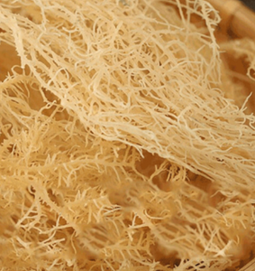 Musgo de mar rico en vitamina E, musgo de mar puro irlandés, material crudo artesanal, musgo de mar - Product Image 3
