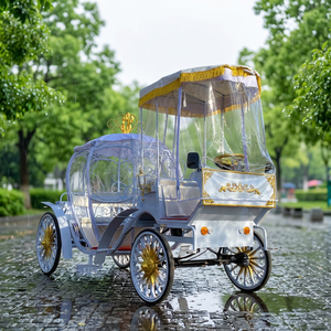 Electric <b>Pumpkin</b> Princess Buggy Wedding Wagon Horse Drawn Cart Cinderella <b>Pumpkin</b> Carriage for Sale - Product Image 1