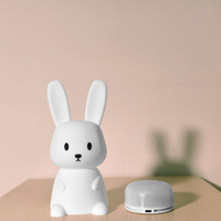 Lampe Lapin Amis des Enfants à Changement de Couleur ou Veilleuse Personnalisable