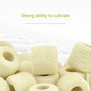 Les médias filtrants en céramique, les anneaux <span class=keywords><strong>de</strong></span> biofiltration, sont utilisés pour la filtration <span class=keywords><strong>de</strong></span> la qualité <span class=keywords><strong>de</strong></span> l'<span class=keywords><strong>eau</strong></span> dans les aquariums. - Product Image 5