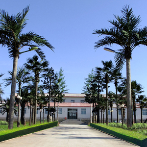 Alta calidad artificial plantas tropicales de plástico gigante de árbol de <span class=keywords><strong>palma</strong></span> - Product Image 1