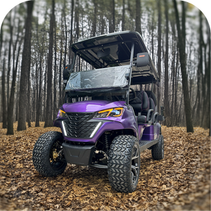 Design moderne Offroad Golf Buggy Offre Spéciale 2 + 2 sièges 150A voiturettes de golf électriques Street Legal - Product Image 1