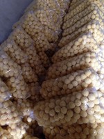 Machine à pop-corn commerciale automatique gaz nouvelle usine alimentaire de grains de maïs grande machine d'expansion de céréales