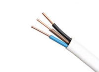 Câble électrique en cuivre à âme plate en PVC de bonne qualité, fils électriques à double âme et terre