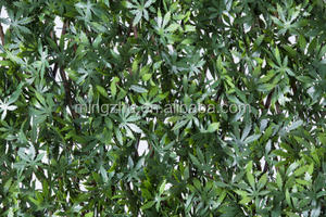 003A Clôture de jardin en treillis de saule expansible décorative UV - Product Image 2