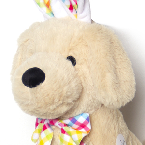 Tùy Chỉnh Sinh Thái Thân Thiện Với Chất Lượng Cao Mềm Vui Thực Nhồi Thiết Kế Mới Phục Sinh 12 Con Chó W/Bunny Tai-Tan + Tùy Chỉnh Con Chó Đồ Chơi Sang Trọng - Product Image 4